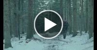 Vidéo vimeo